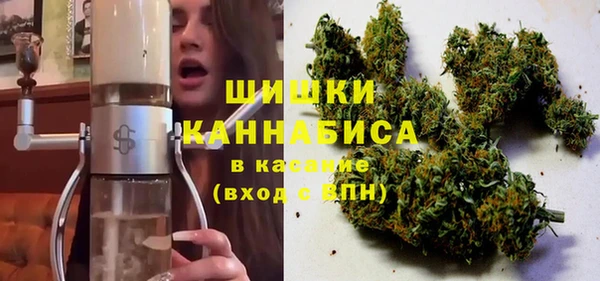 мдпв Кодинск