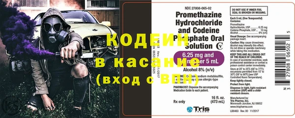 мдпв Кодинск