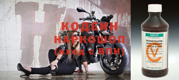 мдпв Кодинск