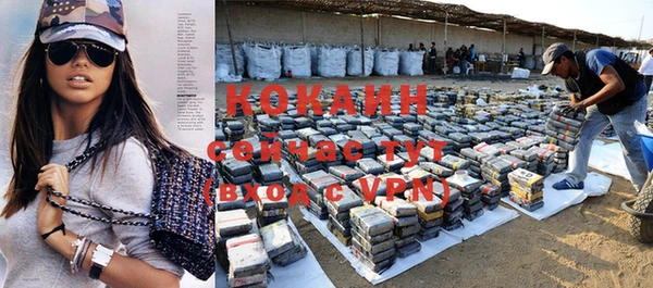 мдпв Кодинск