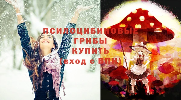 мдпв Кодинск